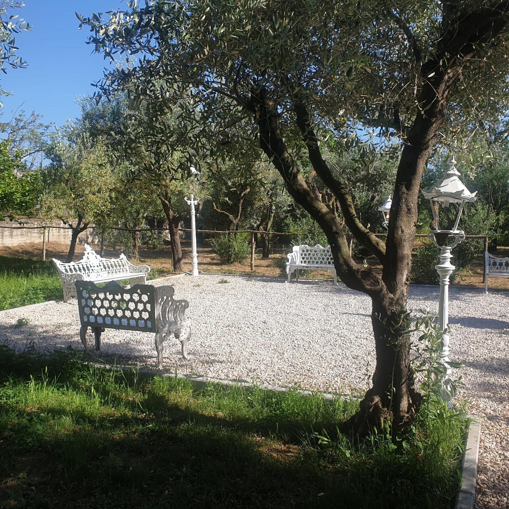 Tenuta Oliva Fisciano Bagian luar foto