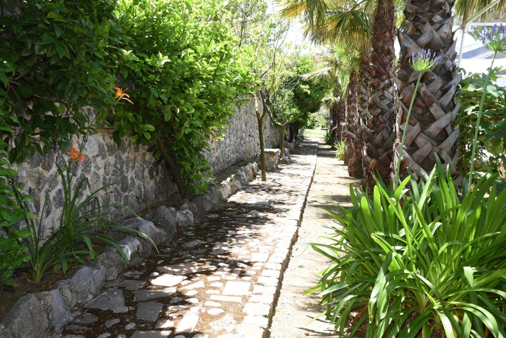 Tenuta Oliva Fisciano Bagian luar foto