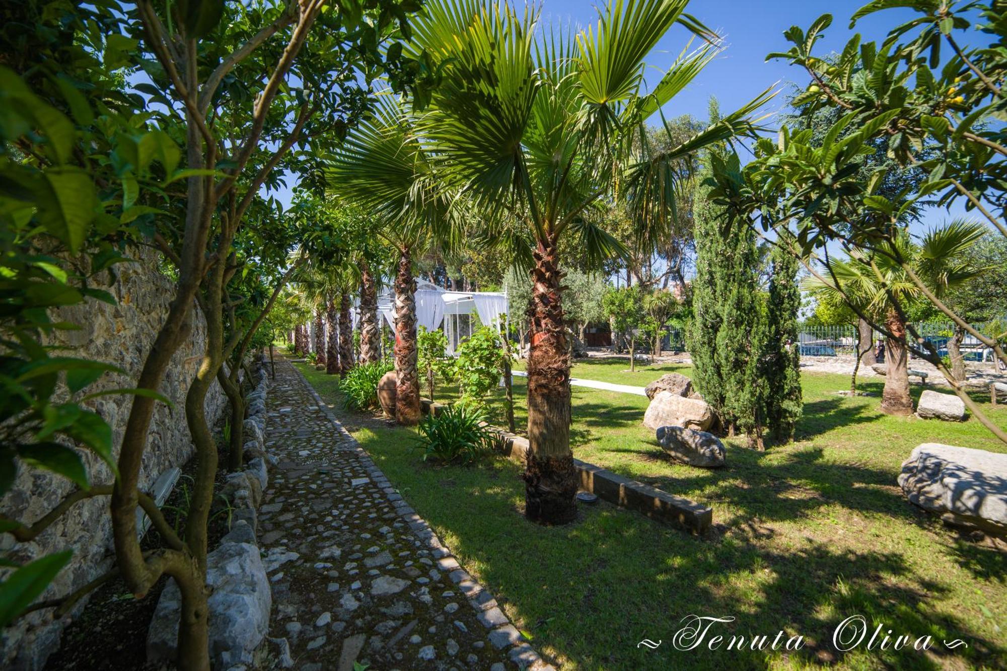 Tenuta Oliva Fisciano Bagian luar foto