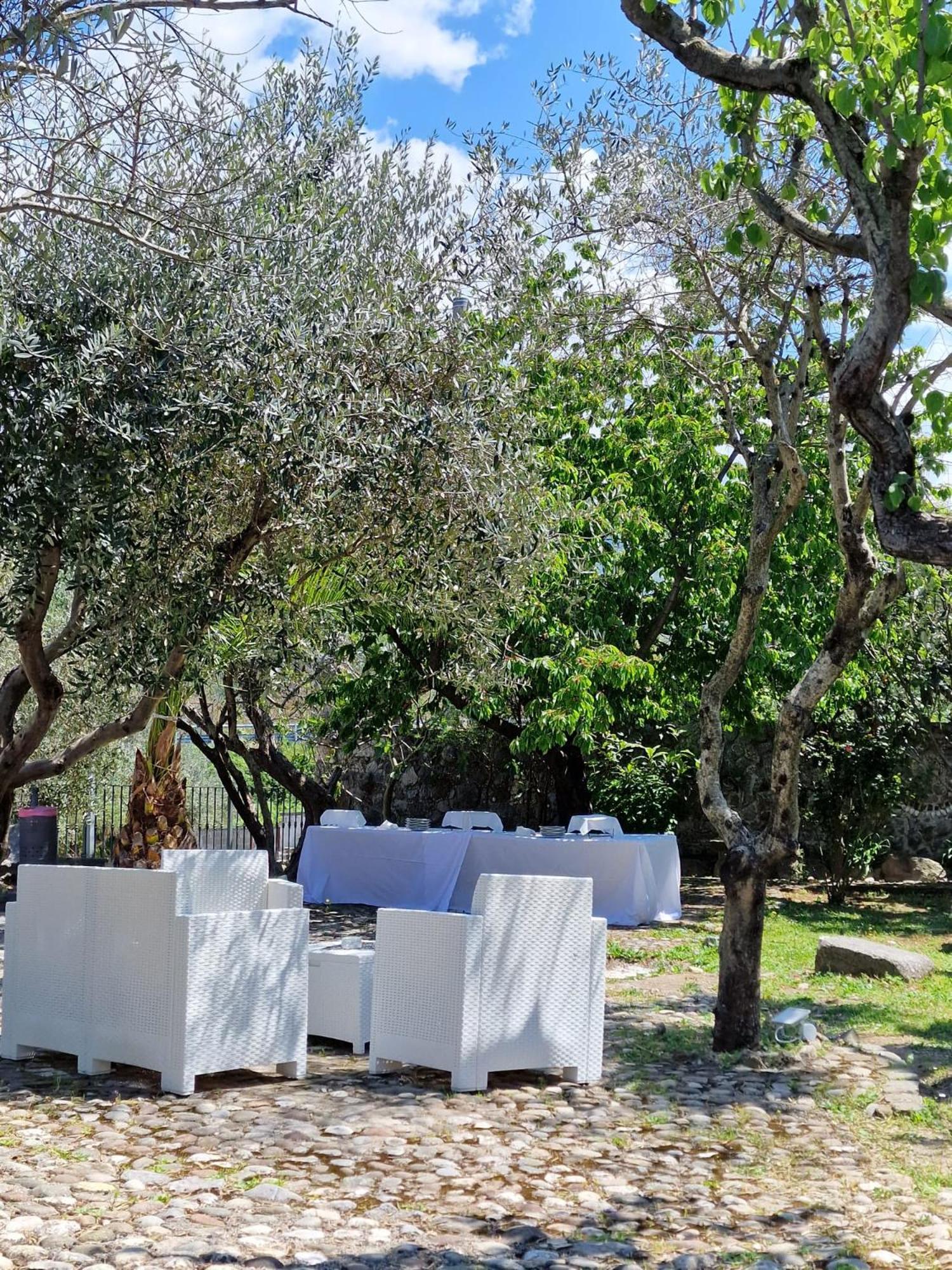 Tenuta Oliva Fisciano Bagian luar foto
